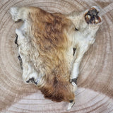 Beef Bark